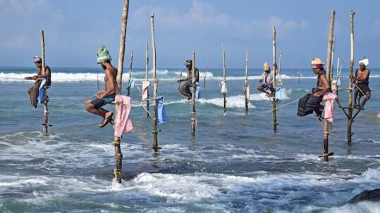 stilt fisherman in Sri Lanka