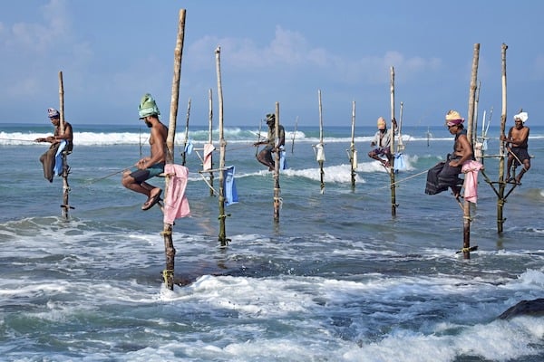 stilt fisherman in Sri Lanka