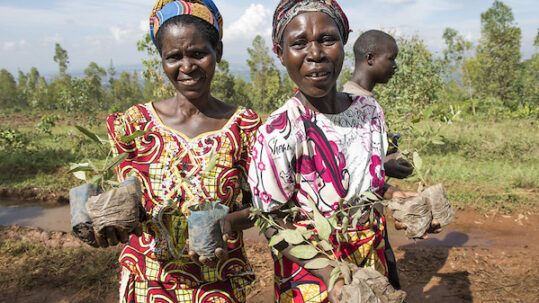 Two women standing outdoors on a dirt path, each holding several young tree seedlings wrapped in soil-filled bags. Trees, vegetation, and a third person appear in the background under a partly cloudy sky