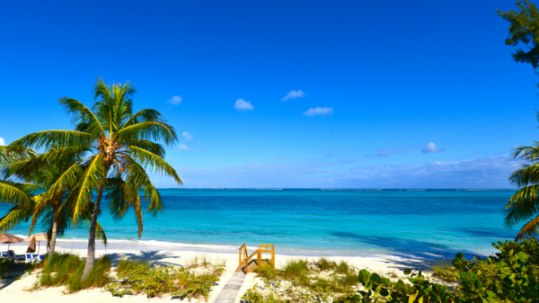 Tropical beach with white sand, turquoise ocean, palm trees and a wooden boardwalk under a bright blue sky