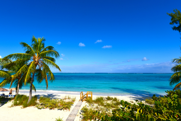 Tropical beach with white sand, turquoise ocean, palm trees and a wooden boardwalk under a bright blue sky