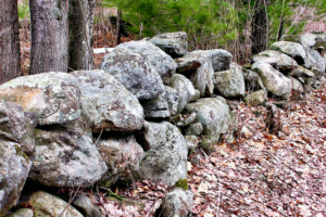 A rustic, weathered stone wall made of irregularly shaped rocks runs through a wooded area.