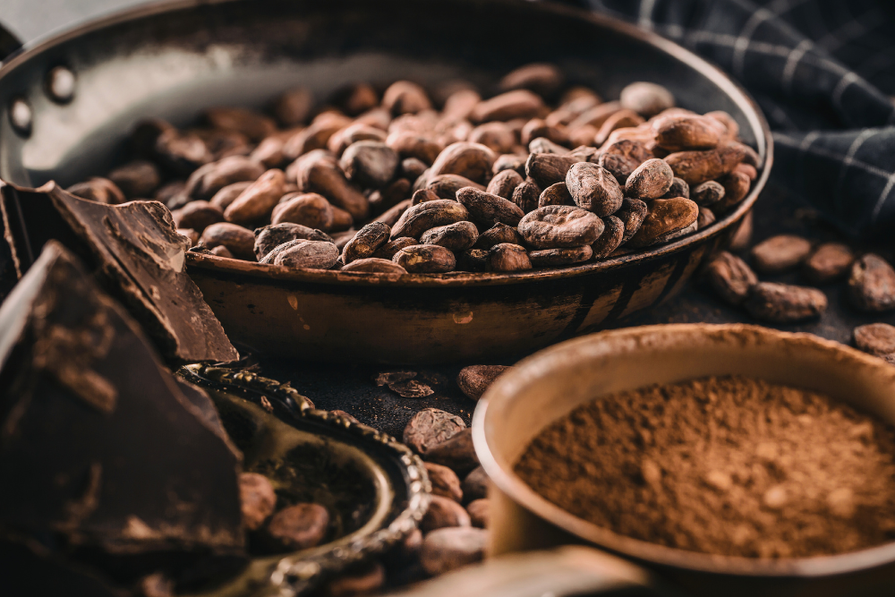 Roasted cacao beans in a metal pan with dark chocolate pieces and cocoa powder for artisanal chocolate making
