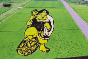Aerial view of rice field art depicting a large illustrated character in shades of green crops beside a road