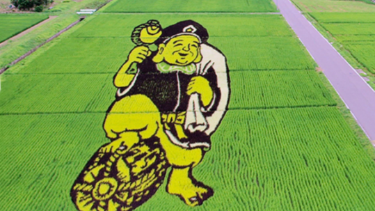 Aerial view of rice field art depicting a large illustrated character in shades of green crops beside a road