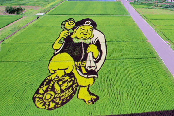 Aerial view of rice field art depicting a large illustrated character in shades of green crops beside a road