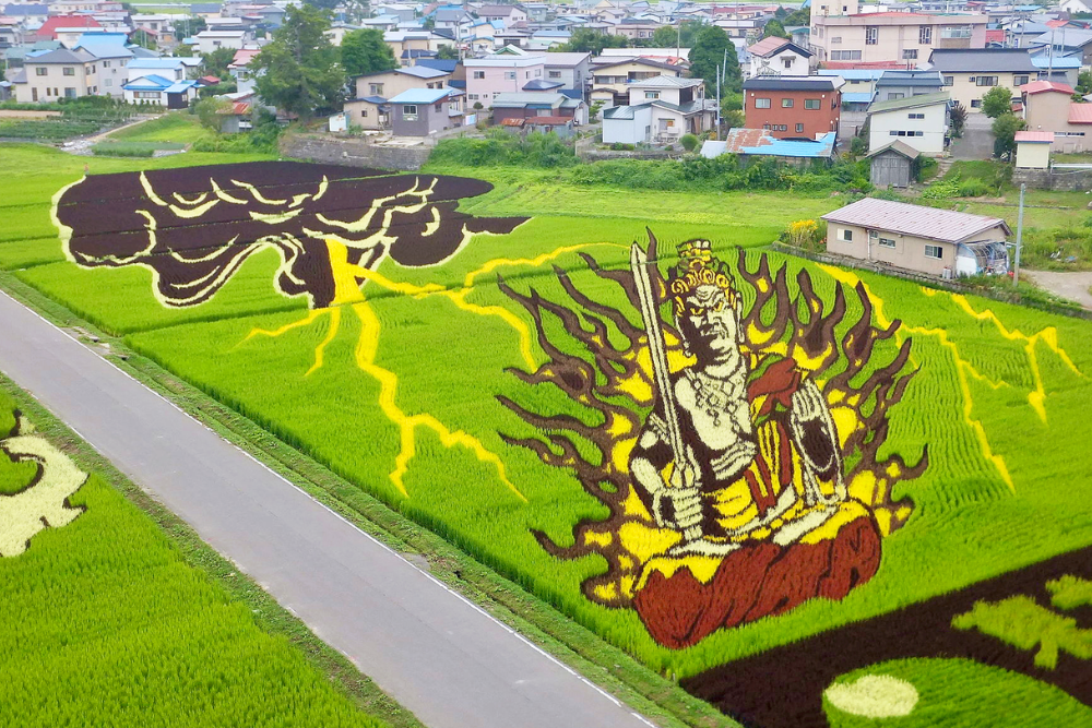 Aerial view of colorful rice field art showing a dramatic figure, lightning shapes and a dark cloud beside a road and nearby houses