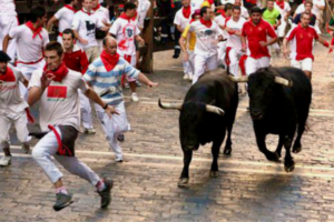 Two bulls charging along a cobblestone street as runners in white clothing with red scarves move alongside them during the Running of the Bulls festival