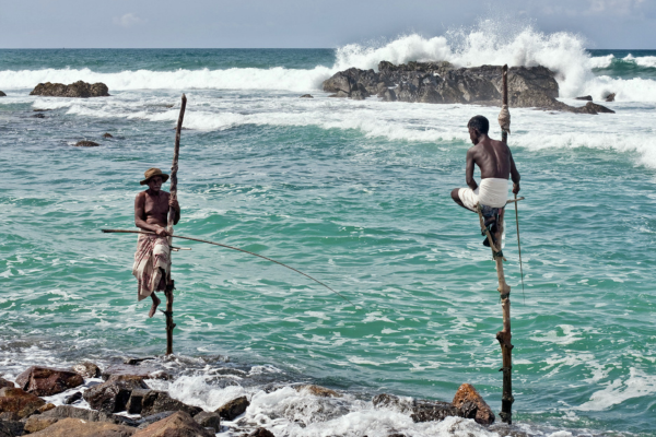 stilt fisherman in Sri Lanka