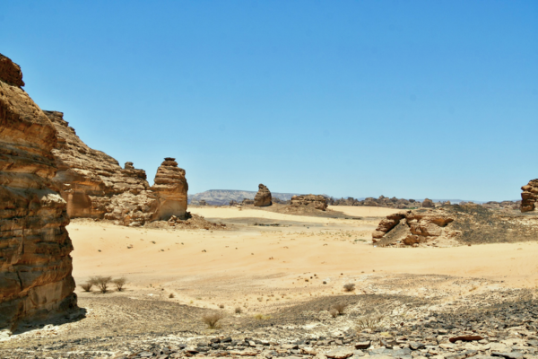 Wide view of a desert landscape with towering sandstone rock formations, rolling sand dunes, scattered shrubs, and a clear blue sky stretching above the horizon.