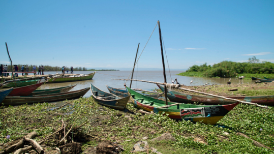 Colorful wooden fishing boats resting along a vegetation-covered lakeshore under a clear blue sky