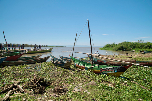 Colorful wooden fishing boats resting along a vegetation-covered lakeshore under a clear blue sky