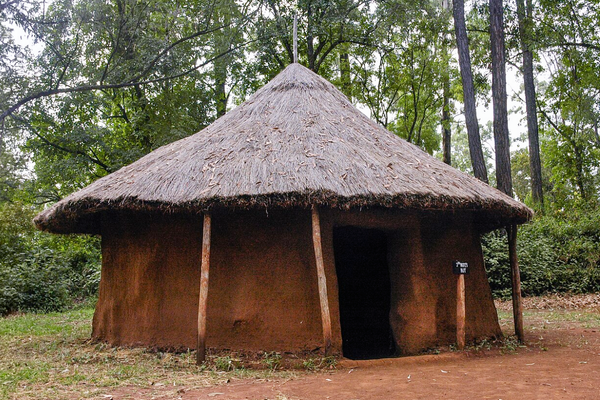 Traditional round mud hut with a conical thatched roof surrounded by dense green woodland