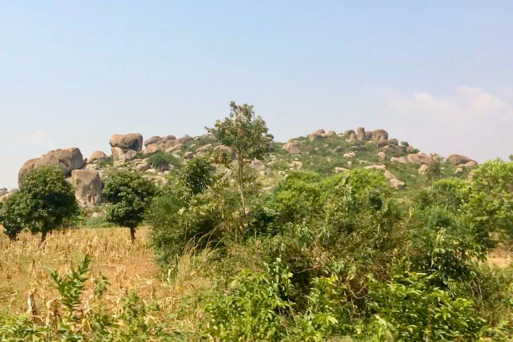 Rocky hill covered with large granite boulders rising above farmland and lush green vegetation in a rural African landscape